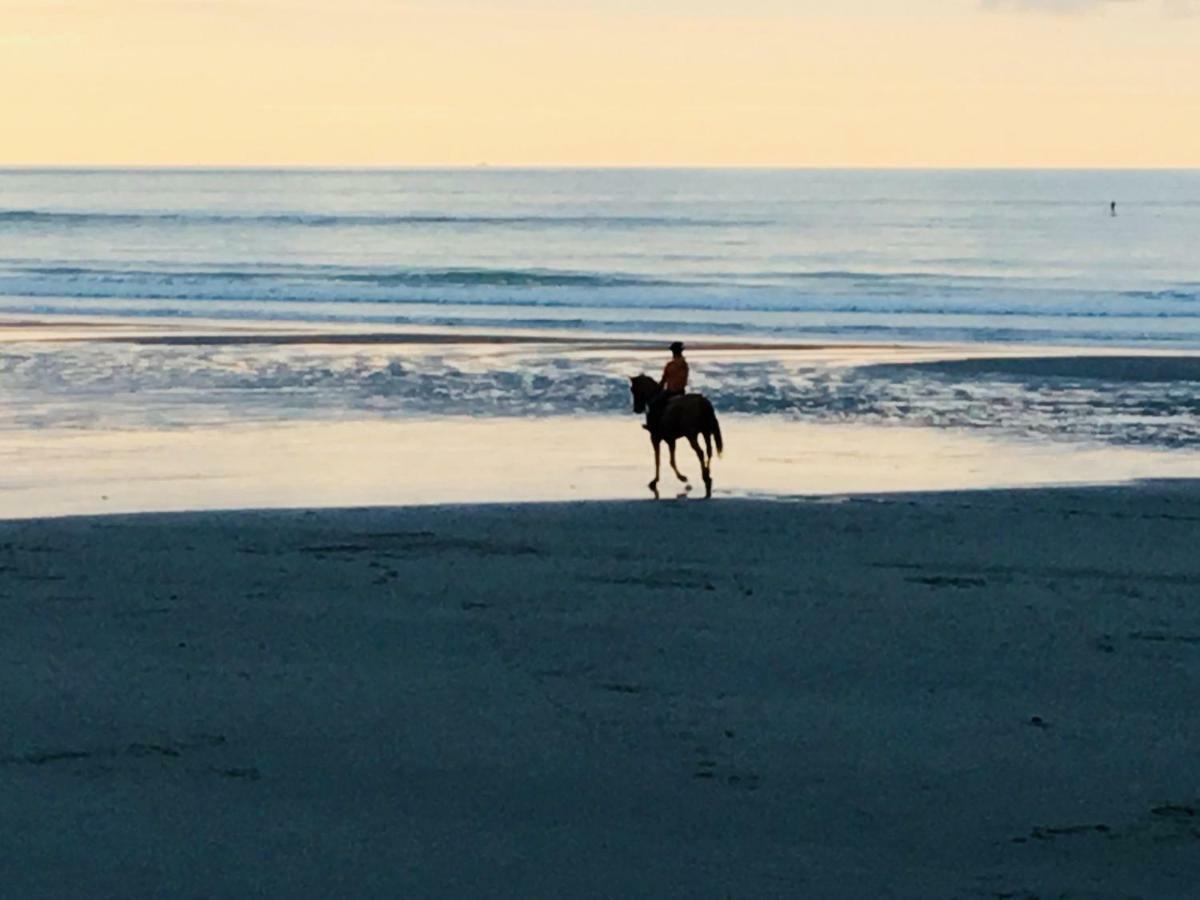 "Appartement Sur Digue" Proche De La Plage Avec Wifi Wimereux Bagian luar foto